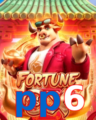 pp6